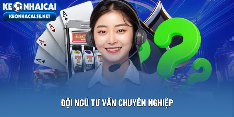 Đội ngũ tư vấn chuyên nghiệp