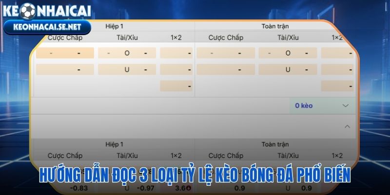 Bảng tỷ lệ bóng đá cập nhật 24/7 với live odds biến động liên tục